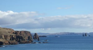 Shetland cliffs