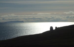 Dusk, Shetland