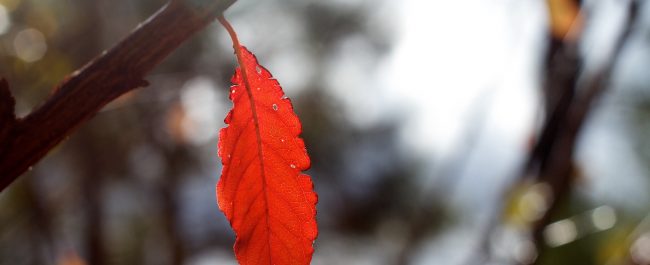 86245609 © publicdomainstockphotos | Dreamstime.com